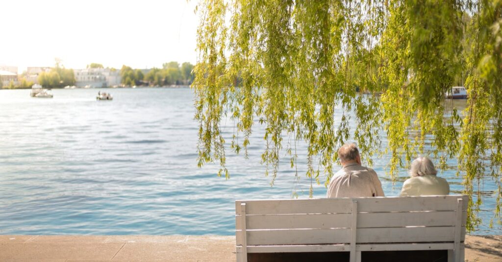 Serene scene of an elderly couple sitting on a bench by a lakeside under a willow tree.